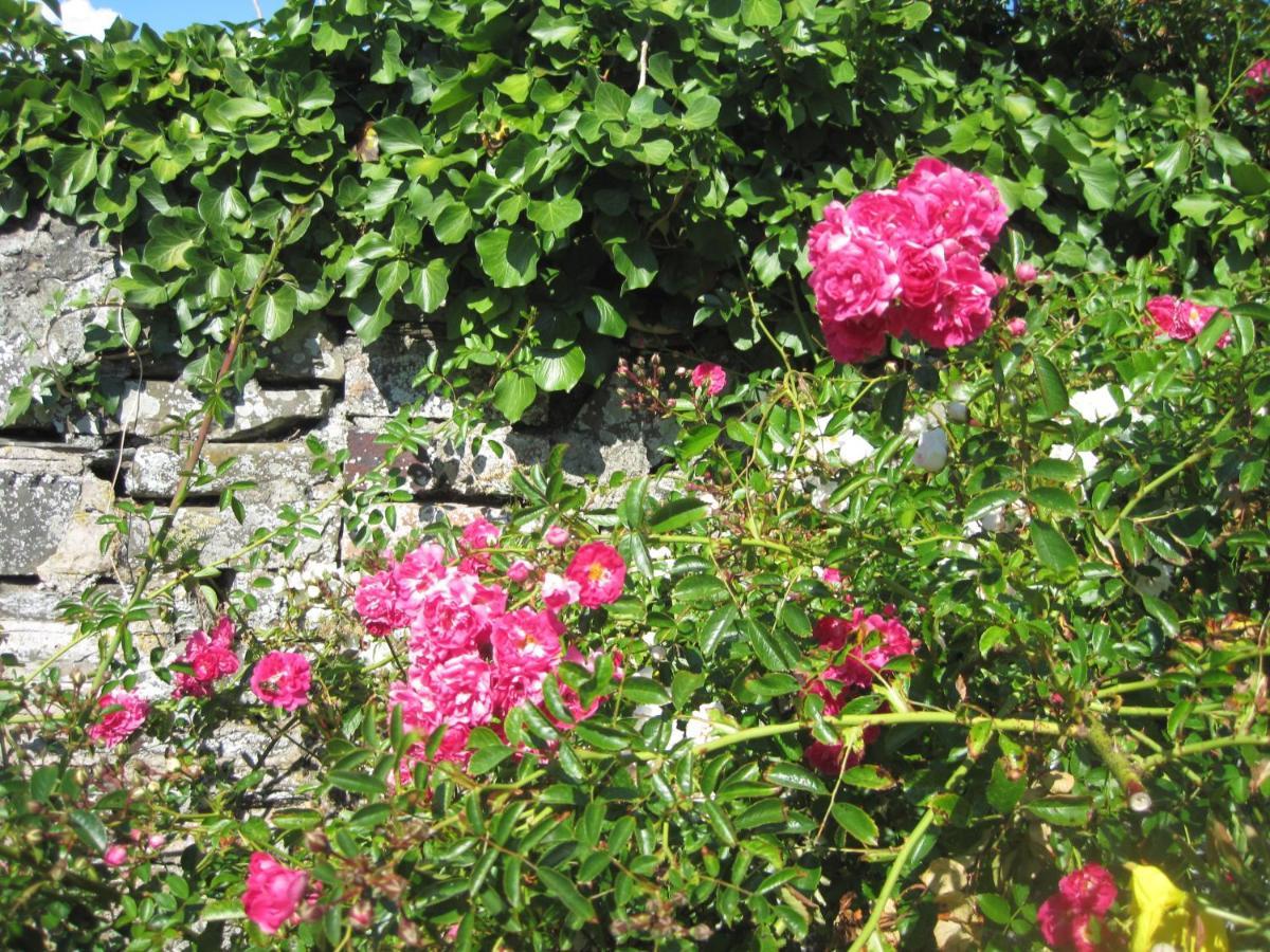 Colebrook Cottage Isle of Whithorn Exteriör bild